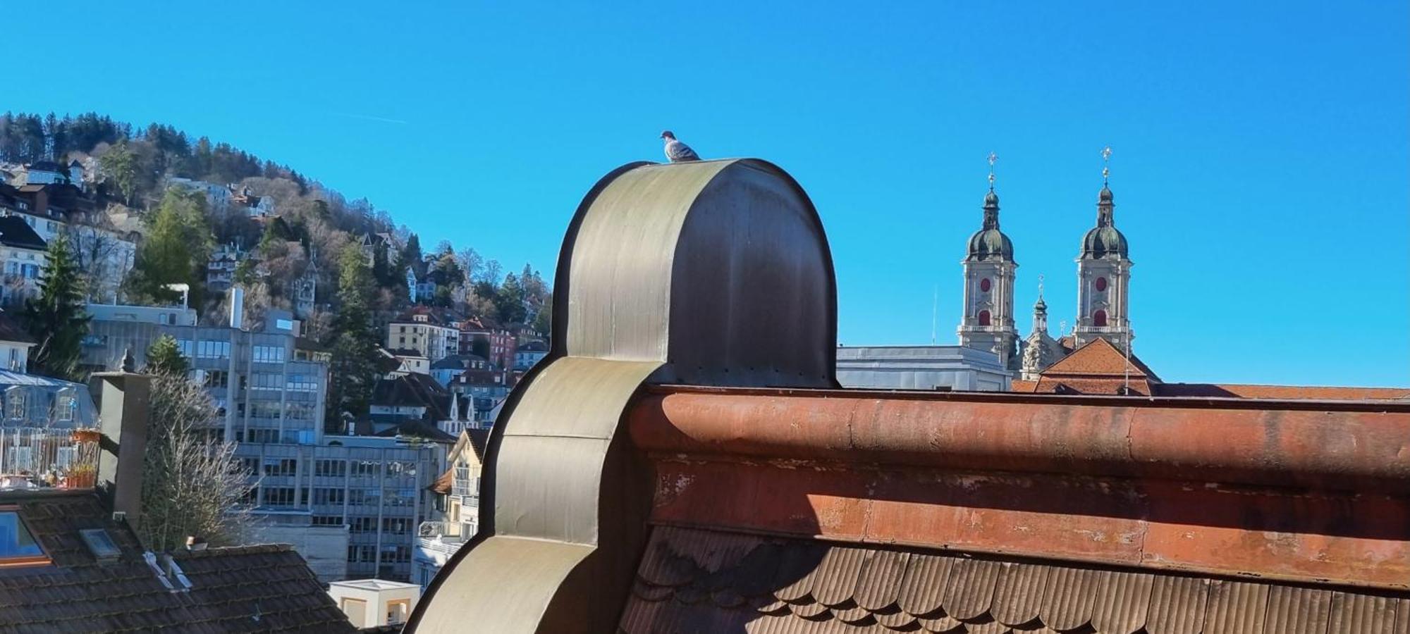 Ruhige, Neue Dachwohnung An Altstadt, Naehe Messe Sankt Gallen Buitenkant foto
